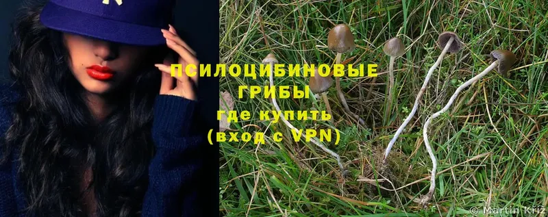 кракен ТОР  Разумное  Псилоцибиновые грибы MAGIC MUSHROOMS  цены наркотик 